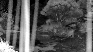 Still 3 from this detection