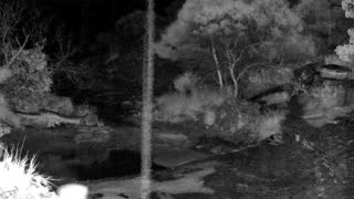 Still 3 from this detection