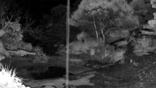 Still 2 from this detection