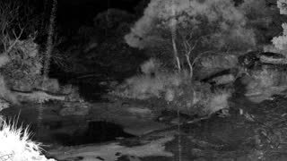 Still 3 from this detection