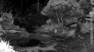 Still 1 from this detection
