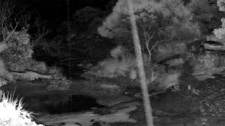 Still 3 from this detection