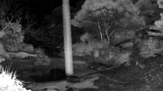 Still 2 from this detection