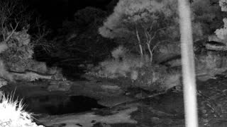 Still 1 from this detection