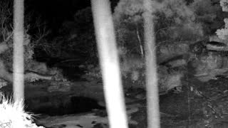 Still 2 from this detection