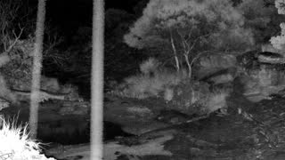 Still 3 from this detection