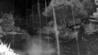 Still 1 from this detection