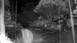 Still 2 from this detection