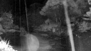 Still 3 from this detection