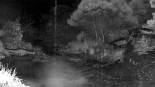 Still 2 from this detection