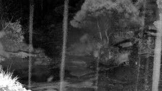 Still 2 from this detection
