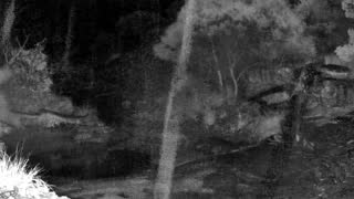 Still 3 from this detection