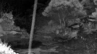 Still 1 from this detection