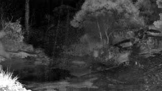 Still 2 from this detection