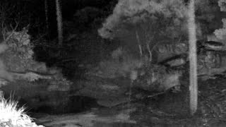 Still 3 from this detection
