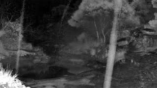 Still 2 from this detection