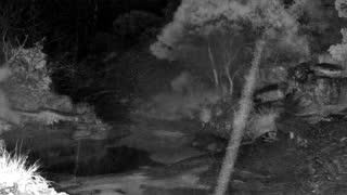 Still 3 from this detection