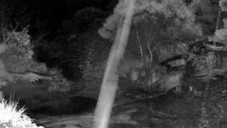 Still 1 from this detection