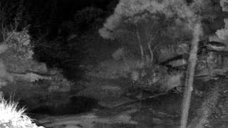 Still 2 from this detection
