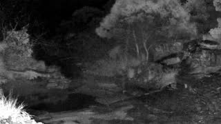 Still 1 from this detection