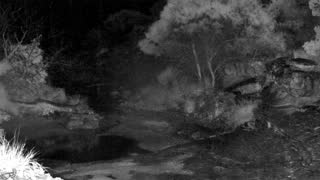 Still 2 from this detection