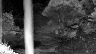 Still 3 from this detection