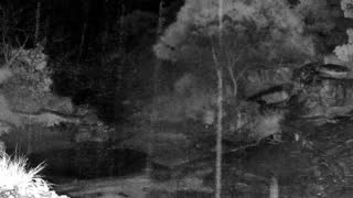 Still 2 from this detection