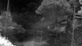 Still 1 from this detection