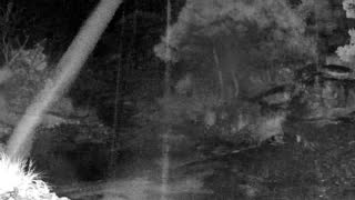 Still 2 from this detection