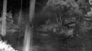 Still 1 from this detection