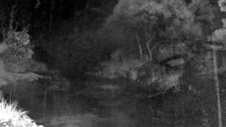 Still 2 from this detection