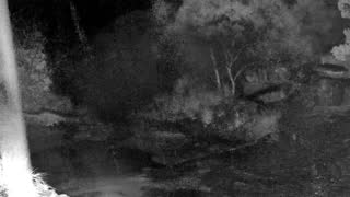 Still 1 from this detection
