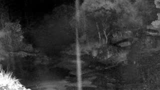 Still 3 from this detection