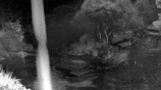 Still 1 from this detection