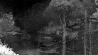 Still 2 from this detection