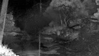 Still 3 from this detection