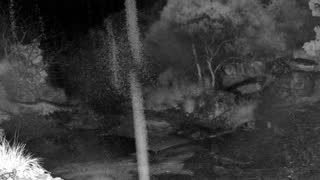 Still 1 from this detection