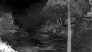 Still 2 from this detection