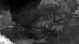 Still 1 from this detection