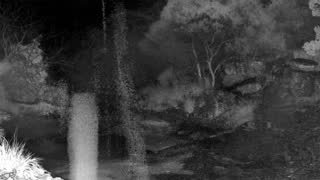 Still 1 from this detection