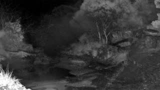 Still 3 from this detection