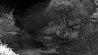 Still 1 from this detection