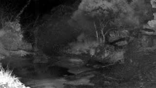Still 2 from this detection