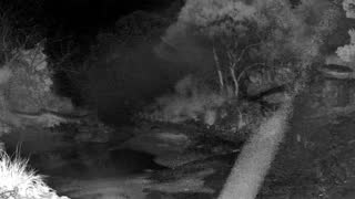 Still 3 from this detection