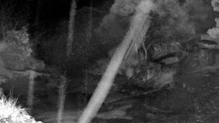 Still 2 from this detection