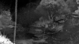 Still 3 from this detection