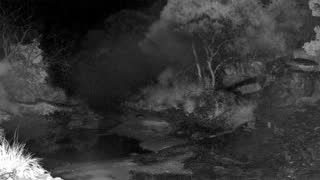 Still 2 from this detection