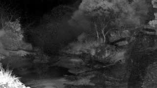Still 1 from this detection
