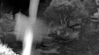 Still 2 from this detection