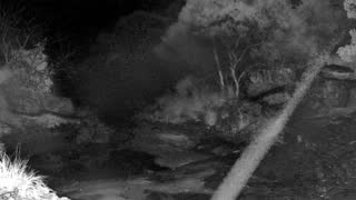 Still 2 from this detection